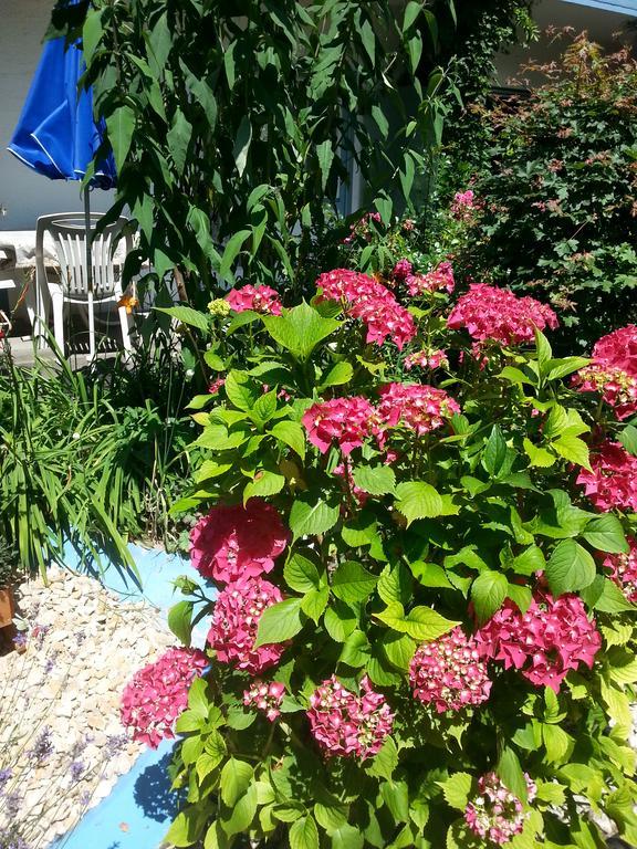 Hotel Park Eden Bad Bellingen Luaran gambar