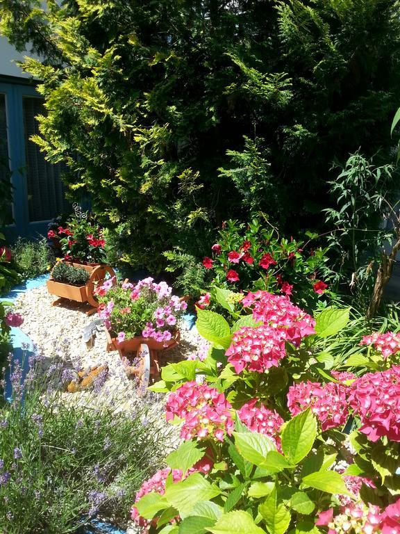 Hotel Park Eden Bad Bellingen Luaran gambar