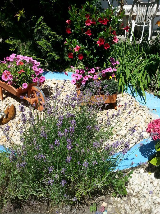 Hotel Park Eden Bad Bellingen Luaran gambar